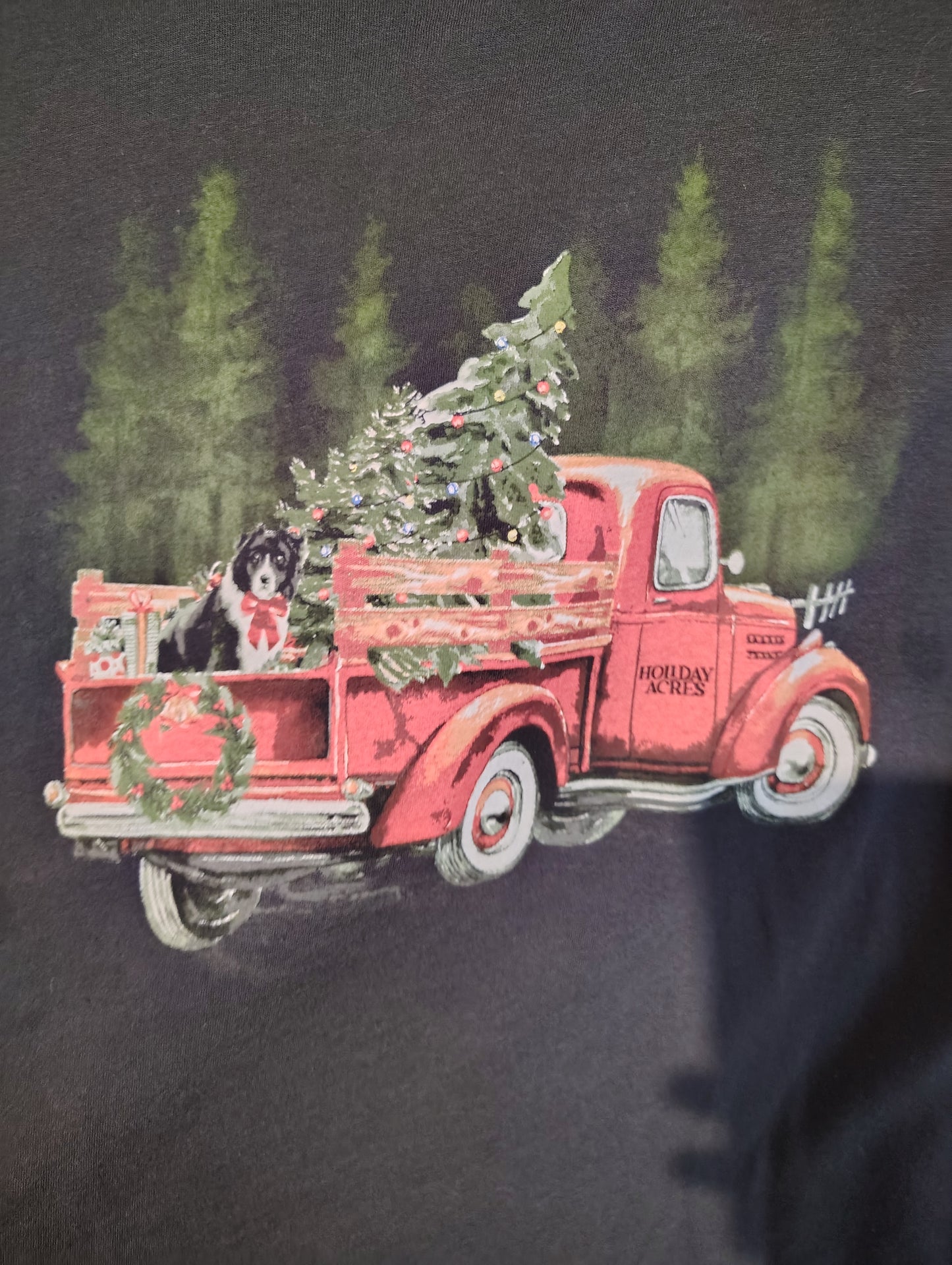 Maurices gray Christmas truck and dog tee size 4x