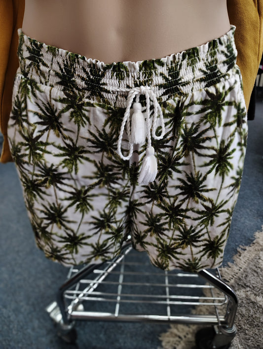 Briggs palm tree tropical shorts size XXL