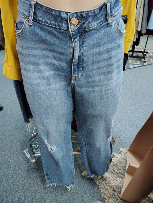 Maurices straight leg distressed jeans size 24w