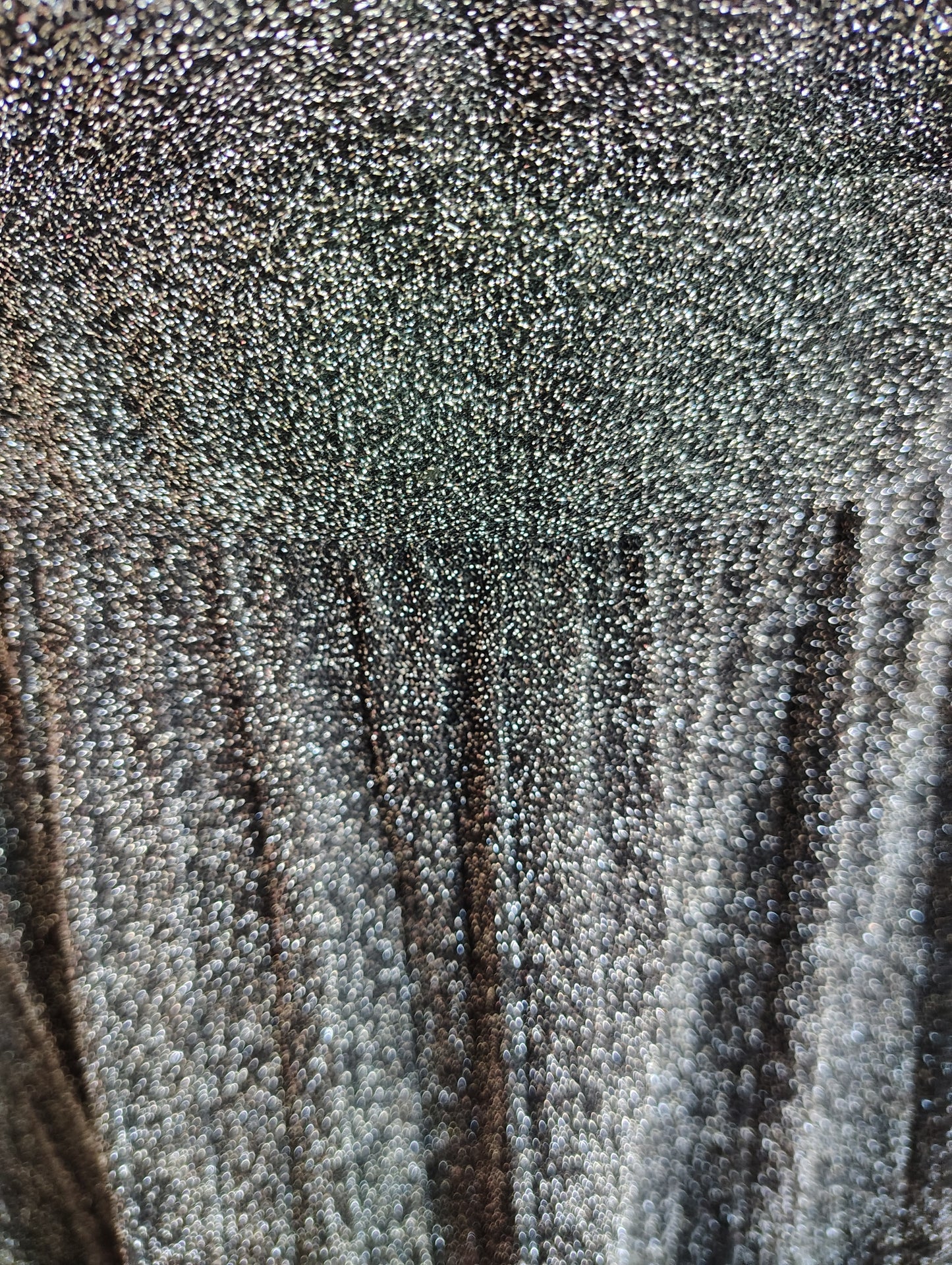 Lane Bryant black pleated sparkle glitter dress size 28 4x