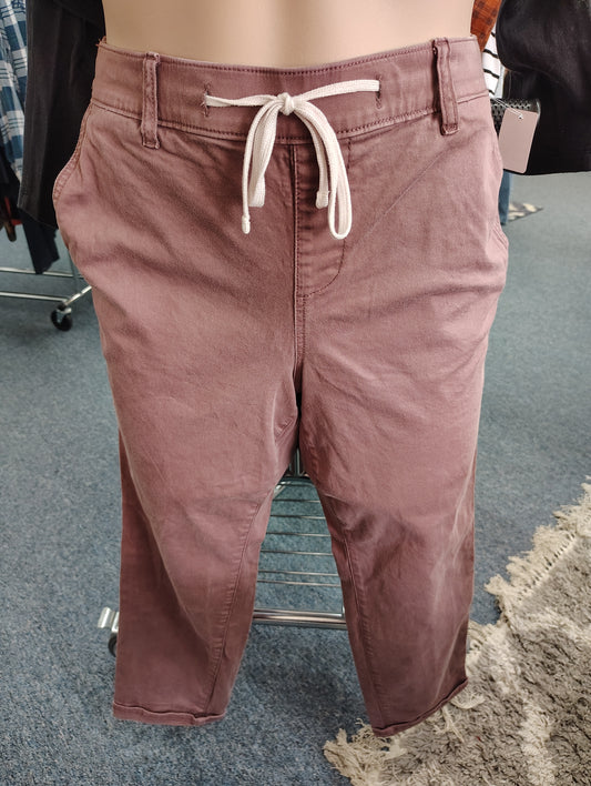 Torrid mauve pull on chino jeans tapered 2x 18