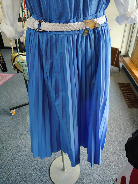 Free Assembly cornflower blue pleated skirt 2x